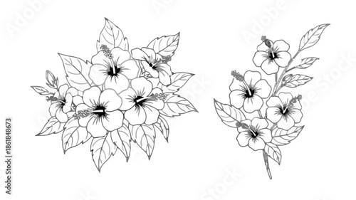 Floral Illustrations Featuring Various Flowers and Leaves in Black and White