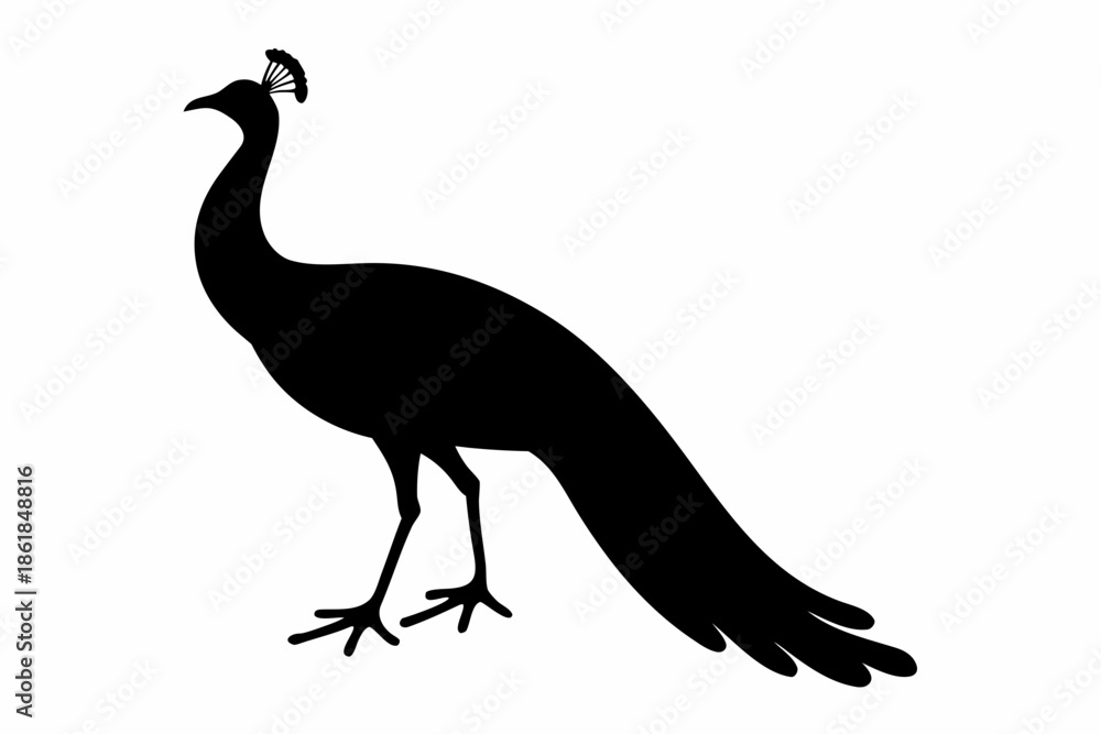Fototapeta premium peacock black silhouette, Silhouette of a peacock standing with its tail feathers fanned out Vector, peacock symbol