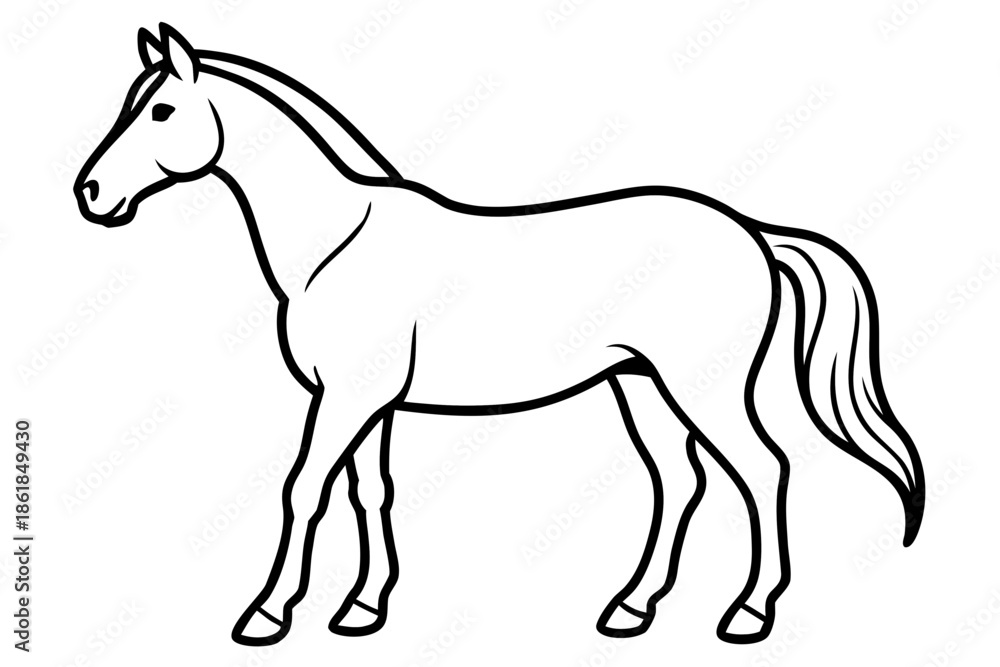 Obraz premium horse line art vector illustration, A simple black and white line drawing Vector, Morgan horse outline 