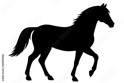 Morgan horse silhouette, horse black vector, Silhouette of a horse walking gracefully Vector, 
