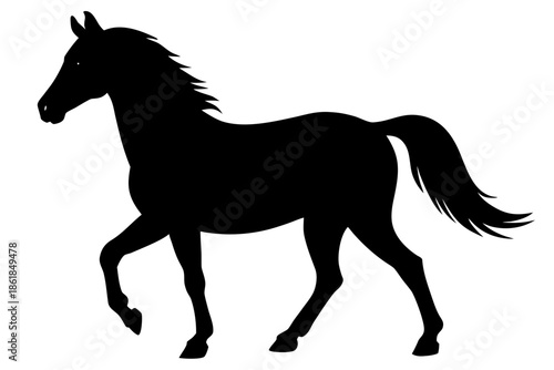 Morgan horse silhouette, horse black vector, Silhouette of a horse walking gracefully Vector, 