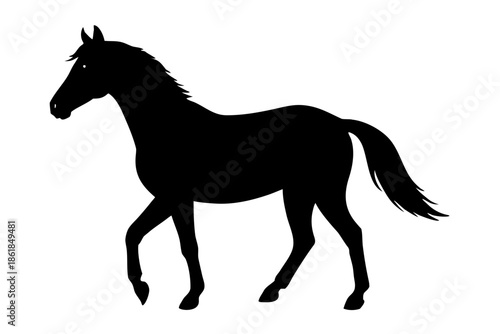 Morgan horse silhouette, horse black vector, Silhouette of a horse walking gracefully Vector, 