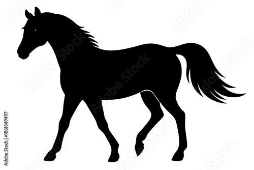 Morgan horse silhouette, horse black vector, Silhouette of a horse walking gracefully Vector, 