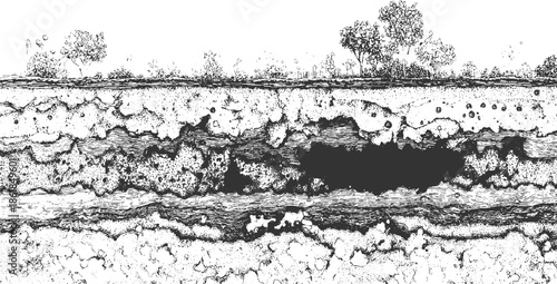 Cross section of soil layers with vegetation and dark void earth