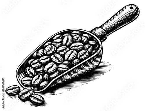 Hand drawn line art illustration of coffee beans depicting a scoop overflowing with roasted beans for coffee packaging