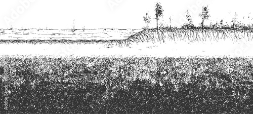 Black and white of exposed tree roots and water edge monochrome soil