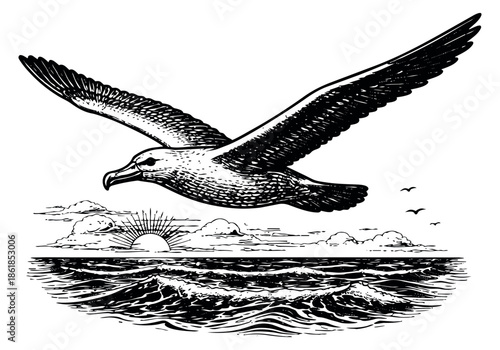 Hand drawn illustration of a seagull depicting flight over an ocean sunrise for nature themes
