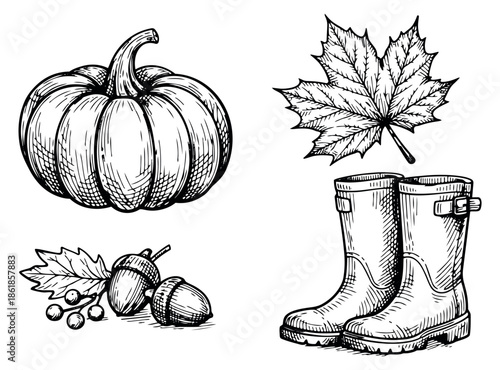 Hand drawn line art autumn elements set featuring a pumpkin, maple leaf, acorns, berries, and rubber boots for fall season designs