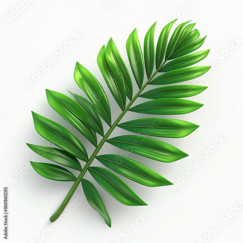 Vivid green palm frond against a white background, detailed, stylized