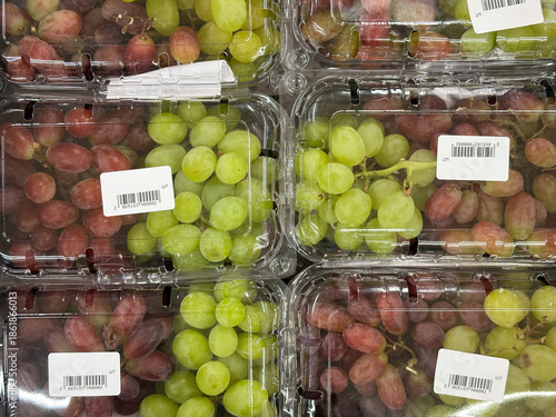 Fényképezés Assorted packaged red and green grapes in plastic containers