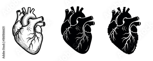 Artistic variation of human heart: detailed line, silhouette, pixelated graphics