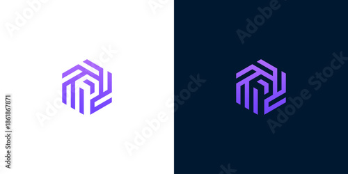 Modern abstract geometric hexagon logo design, symbolizing technology and innovation, on white and dark blue backgrounds