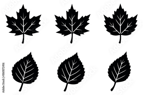 Black silhouette leaves set featuring maple and birch-like foliage for autumn and nature designs