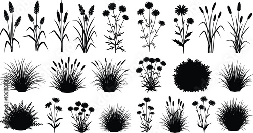 Set of black plant silhouettes including grass clumps, reeds and wild flowers, nature design elements, cad drawing flat vector illustration