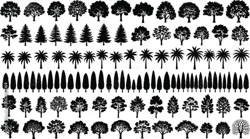 Tree silhouettes collection, pine and palm trees set, forest nature and landscape architecture elements, isolated black vector illustration design