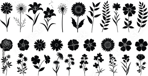 Wildflowers and floral silhouettes set, sunflower and rose collection, black nature plants, isolated botanical vector illustration design