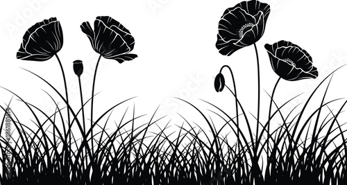 Black silhouette of poppy flowers in tall grass field, monochrome wildflower meadow bottom border for nature design, cad drawing flat vector illustration