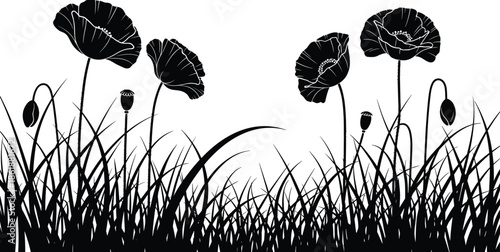 Black silhouette of poppy flowers in tall grass field, monochrome wildflower meadow bottom border, cad drawing flat vector illustration