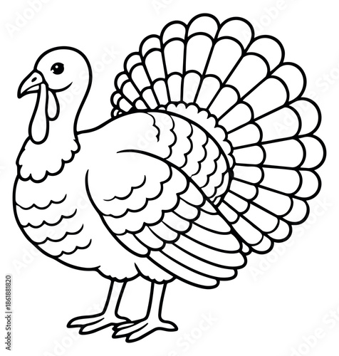 Hand drawn line art illustration of a turkey depicting a standing farm bird for Thanksgiving holiday