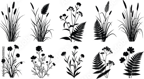 Collection of black plant silhouettes, wild grass, fern and flower icons set, nature design element, cad drawing flat vector illustration