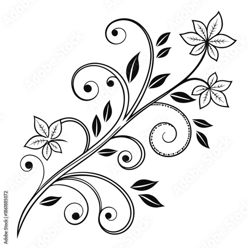 Abstract floral background with elegant vintage flower and swirl frame design elements in black vector style
