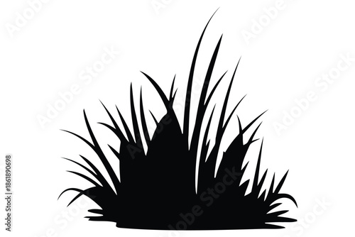 Black silhouette of a clump of grass with pointed blades on a white background vector