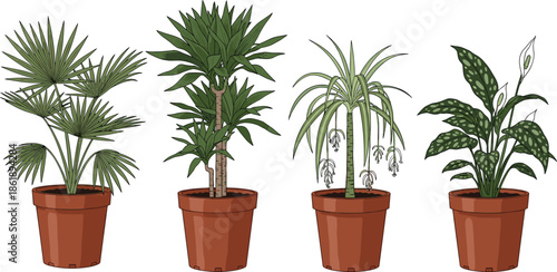 Collection of indoor house plants in clay pots featuring palm tree dracaena and peace lily vector illustration on white background