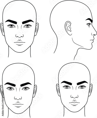 Male face reference sheet with bald head showing front, three-quarter, and side views for drawing practice and proportions