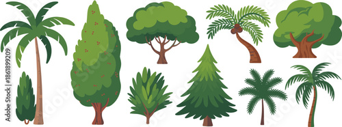 Tree illustration set, cartoon trees, foliage types, palm, conifer, broadleaf, nature design, vector trees, trunk styles, botanical diversity