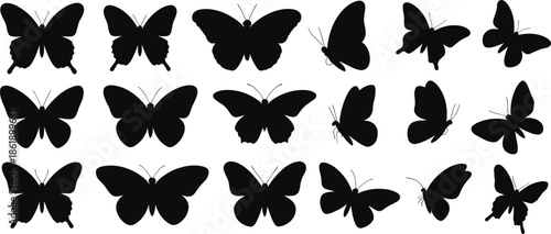 Butterfly silhouettes, black insect shapes, vector butterflies, symmetrical wings, flying insects, nature icons, entomology graphics, isolated butterflies, white background, clipart