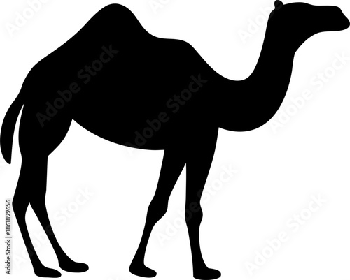 Camel Silhouette Vector on Desert Dunes, Middle Eastern Travel Concept