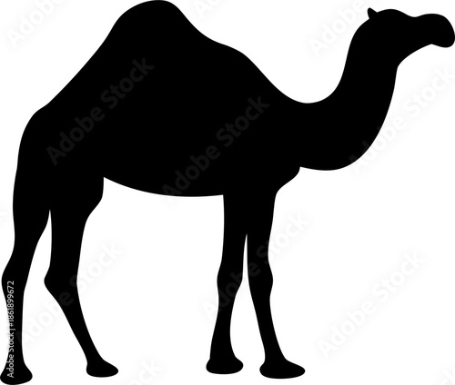 Camel Silhouette Vector on Desert Dunes, Middle Eastern Travel Concept