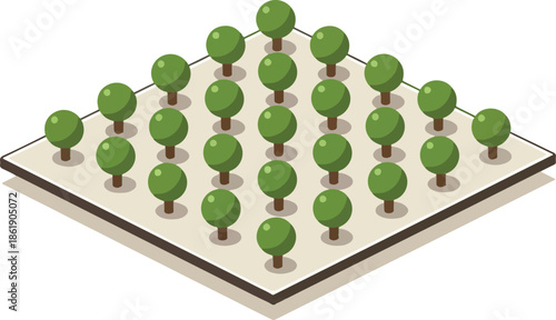 Isometric view of a rectangular orchard plot with trees in neat rows