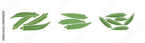 Collection of fresh green okra pods arranged in various groupings, showcasing healthy vegetable illustrations perfect for culinary, market, or recipe designs on a clean white background