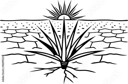Agave plant growing in cracked dry desert soil with sun rising in the background