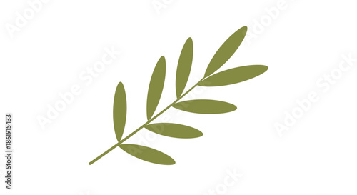 A simple and elegant flat illustration of a single green olive branch a symbol of peace and nature isolated on a white background.