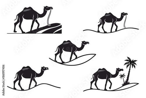 Silhouettes of camels in desert landscape isolated on white background, Vector