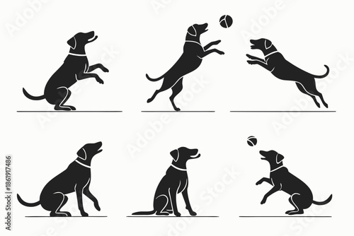 Dog playing with ball isolated on white background, Vector