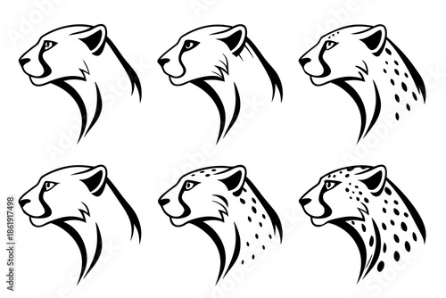 Collection of stylized cheetah heads isolated on white background, Vector