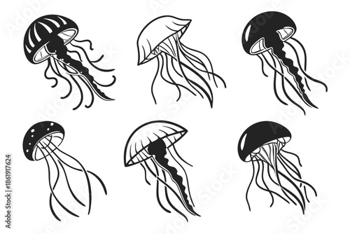 Collection of black and white jellyfish illustrations isolated on white background, Vector