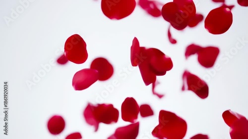 Floating crimson petals cascade against a bright white background, creating an ethereal, blurred effect