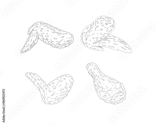 Chicken Wings Line Art Bundle. Hand Drawn Fried Chicken Sketch Set. Crispy Poultry Illustration Collection. Minimal Black and White Food Drawing