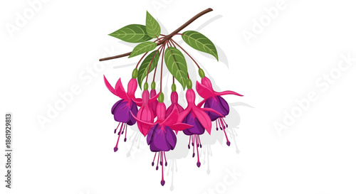 Elegant White Flowering Plant Botanical Illustration with Green Leaves