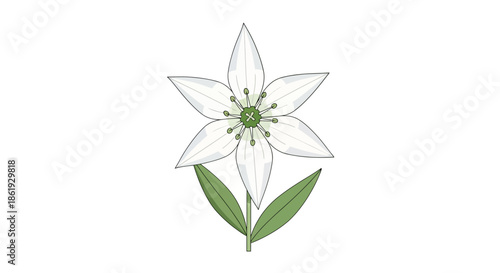 Vibrant blue Agapanthus flower botanical illustration.