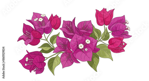 Vibrant yellow orchid flowers with green leaves on white background