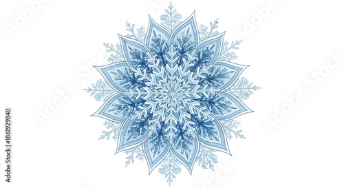 Elegant Yarrow Plant Botanical Illustration