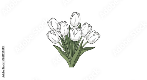 Illustration of a cluster of red coral tree flowers and leaves