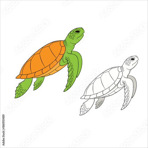 Coloring Book For Kid Turtle Vector