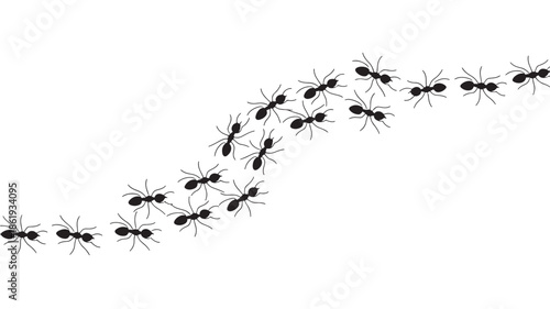 Ant colony marching in a curved line flat vector illustration