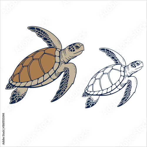 Coloring Book For Kid Turtle Vector